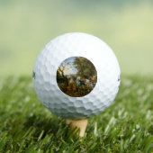 Eintrag der Tiere in die Arche Noah (Brueghel) Golfball (Insitu T-Shirt)