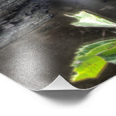 Eintritt Cascade, Watkins Glen, New York. Fotodruck (Ecke)