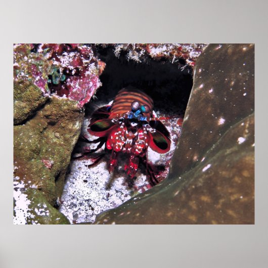 Eintrittsschutz Poster (Vorne)