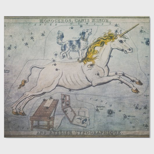 Einwegpapier Geschenkpapier (Flach)