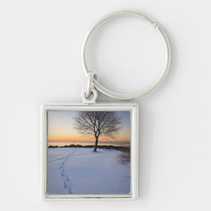 Einzel-Baum im frischen Schnee Neue Burg Schlüsselanhänger