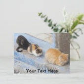 Einzel-Katzen, Chefchaoun, Marokko-Karte (Stehend Vorderseite)