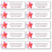 Einzeladressen Plumeria Blume Aufkleber (Vorderseite)