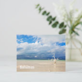 Einzelbaum am Strand Postkarte (Stehend Vorderseite)