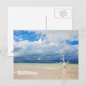 Einzelbaum am Strand Postkarte (Vorne/Hinten)