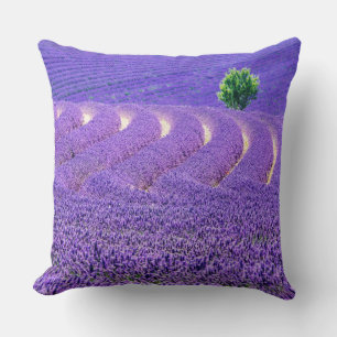 Einzelbaum in Lavender Field, Frankreich Kissen