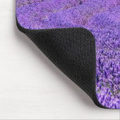 Einzelbaum in Lavender Field, Frankreich Mousepad (Ecke)