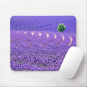 Einzelbaum in Lavender Field, Frankreich Mousepad (Mit Mouse)