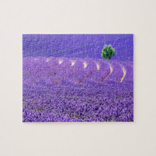 Einzelbaum in Lavender Field, Frankreich Puzzle
