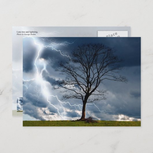 Einzelbaum und Blitz Postkarte (Vorne/Hinten)