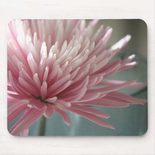 Einzelblüte Mousepad (Vorne)