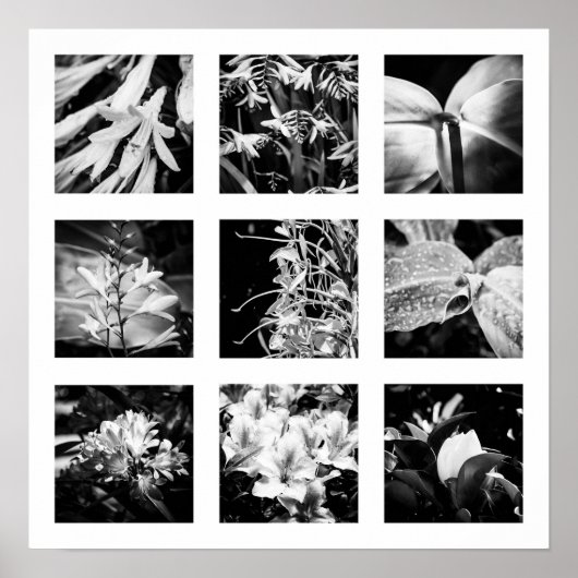 Einzelheiten der Reihe "Natur" - Blume 2 Poster (Vorne)