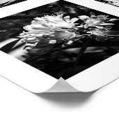 Einzelheiten der Reihe "Natur" - Blume 2 Poster (Ecke)