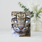Einzelheiten zu bedecktem Leopard Postkarte (Stehend Vorderseite)