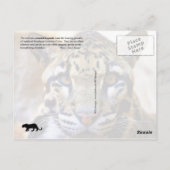 Einzelheiten zu bedecktem Leopard Postkarte (Rückseite)