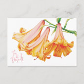 Einzelheiten zur Hochzeit der Afrikanischen Königi Begleitkarte (Rückseite)