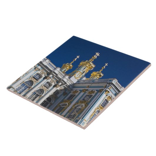 Einzelheiten zur Kathedrale Fliese (Seite)