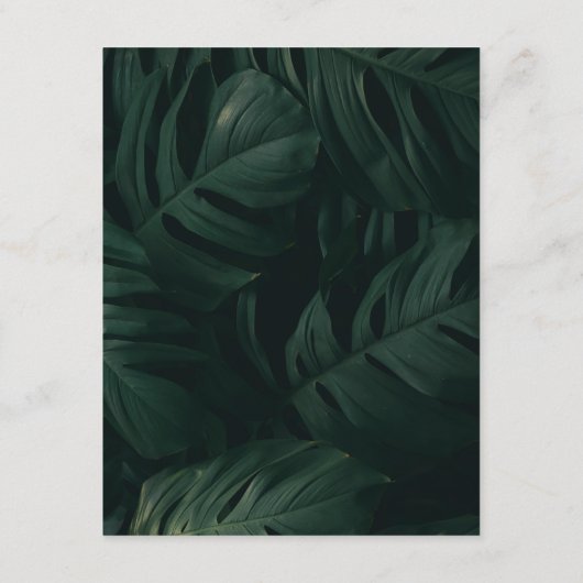 Einzelheiten zur tropischen Hochzeit in Urlaubsort Begleitkarte (Rückseite)