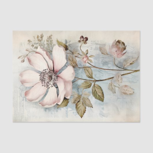 Einzelne blassrosa botanische Blumenillustration Seidenpapier (Vorderseite)