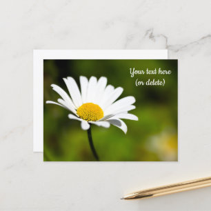 Einzelne Gänseblümchen-Postkarte Postkarte