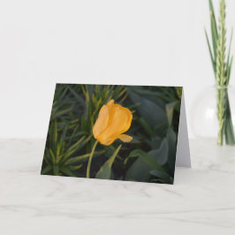 Einzelne Golden Tulip Notizkarte Karte