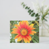 Einzelne helle orangefarbene Blume Postkarte (Stehend Vorderseite)
