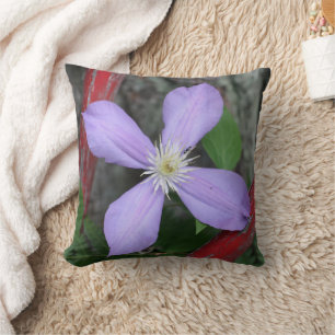 Einzelne lila Clematis-Blüte Kissen