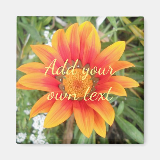 Einzelne orange Blume mit individuellem Text Magnet (Vorne)