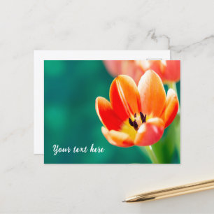 Einzelne orange Tulpen-Postkarte Postkarte