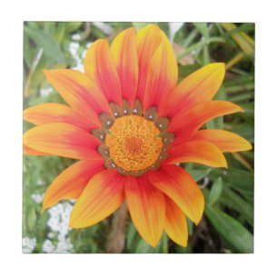 Einzelne orangefarbene Blume Fliese