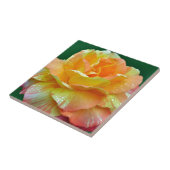 Einzelne orangefarbene Teerose Fliese (Seite)