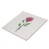 Einzelne rosa Glasgow-Rose Fliese (Seite)