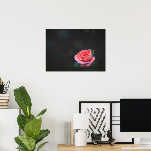 Einzelne rosa Rose mit Tau Poster (Heimbüro)
