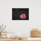 Einzelne rosa Rose mit Tau Poster (Küche)