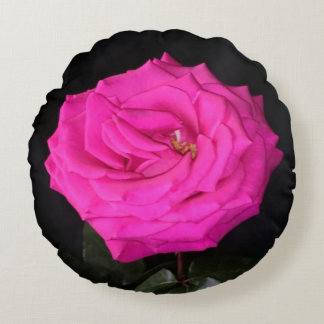 Einzelne rosa Rose Runde Wurfkissen Rundes Kissen