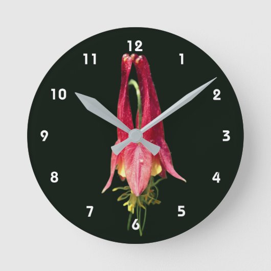 Einzelne rote Akelei-Blüte Runde Wanduhr (Vorderseite)