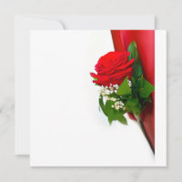 Einzelne rote Rose – Florales weißes Hintergrundbi
