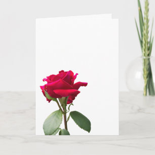 Einzelne rote Rose Karte