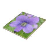 Einzelne Violette Fliese (Seite)