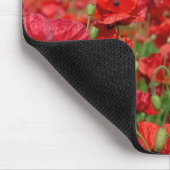 Einzelne weiße Mohnblume in einem roten Mohnfeld Mousepad (Ecke)