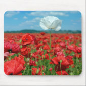 Einzelne weiße Mohnblume in einem roten Mohnfeld Mousepad (Vorne)