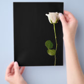 Einzelne weiße Rose auf schwarzem Hintergrund Flyer (Hand)