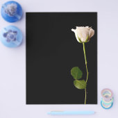 Einzelne weiße Rose auf schwarzem Hintergrund Flyer (Einzeln)