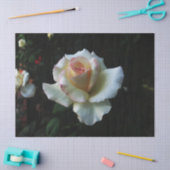 Einzelne weiße Rose Seidenpapier (Basteln)