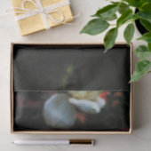 Einzelne weiße Rose Seidenpapier (Geschenk)
