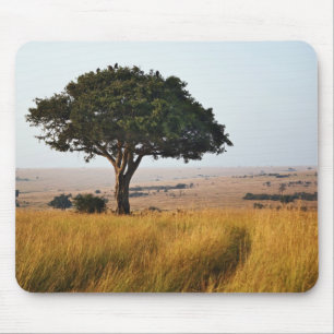 Einzelner Akazienbaum auf grasbewachsenen Ebenen,  Mousepad