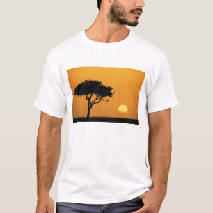 Einzelner Akazienbaum bei Sonnenaufgang silhouetti T-Shirt