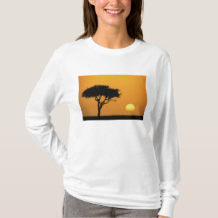 Einzelner Akazienbaum silhouettiert bei Sonnenaufg T-Shirt