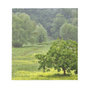 Einzelner Baum auf landwirtschaftlichem Feld, Tosk Notizblock