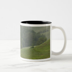 Einzelner Baum auf landwirtschaftlichem Feld, Tosk Zweifarbige Tasse